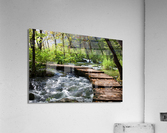 Wooden Path Across Stream Acrylic Print