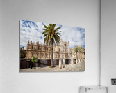 Gothic Seville Cathedral Acrylic Print