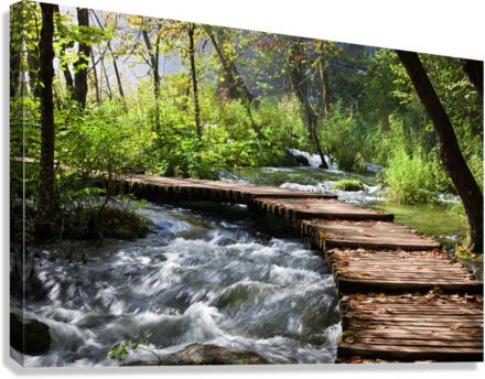 Wooden Path Across Stream Canvas Print