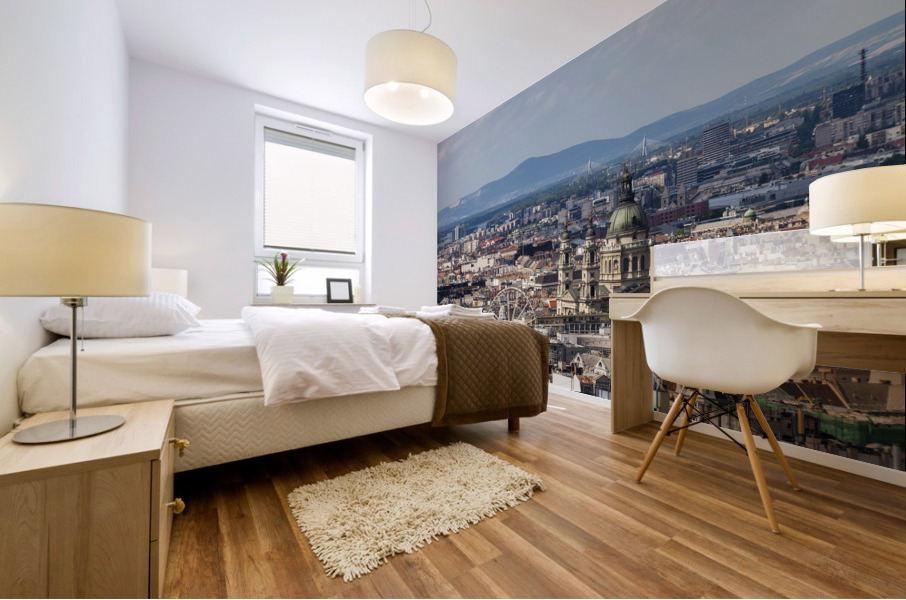 Budapest Cityscape Mural print