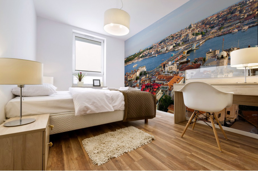 Istanbul Cityscape Mural print