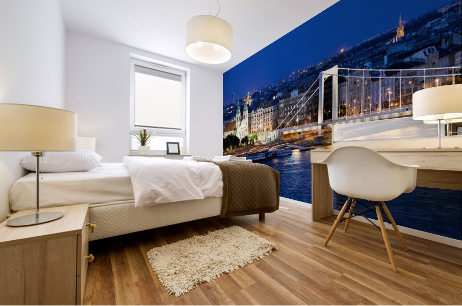 Night in Budapest Mural print