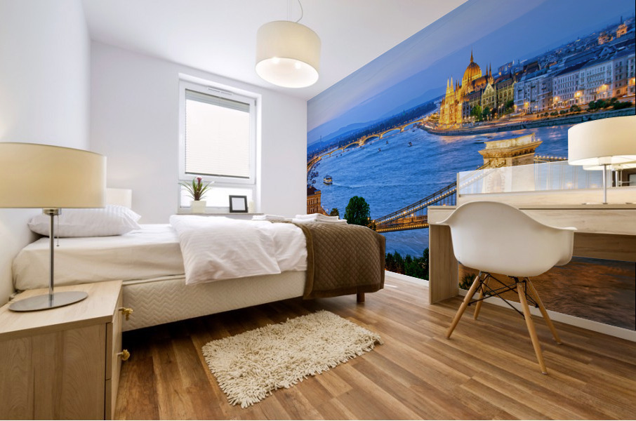 Budapest Evening River View Mural print