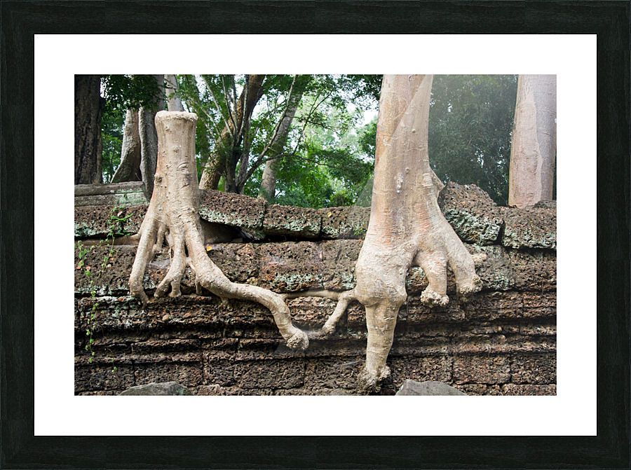 Trees United Picture Frame print