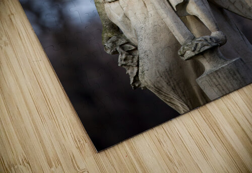 Angel Statue Socratubik puzzle