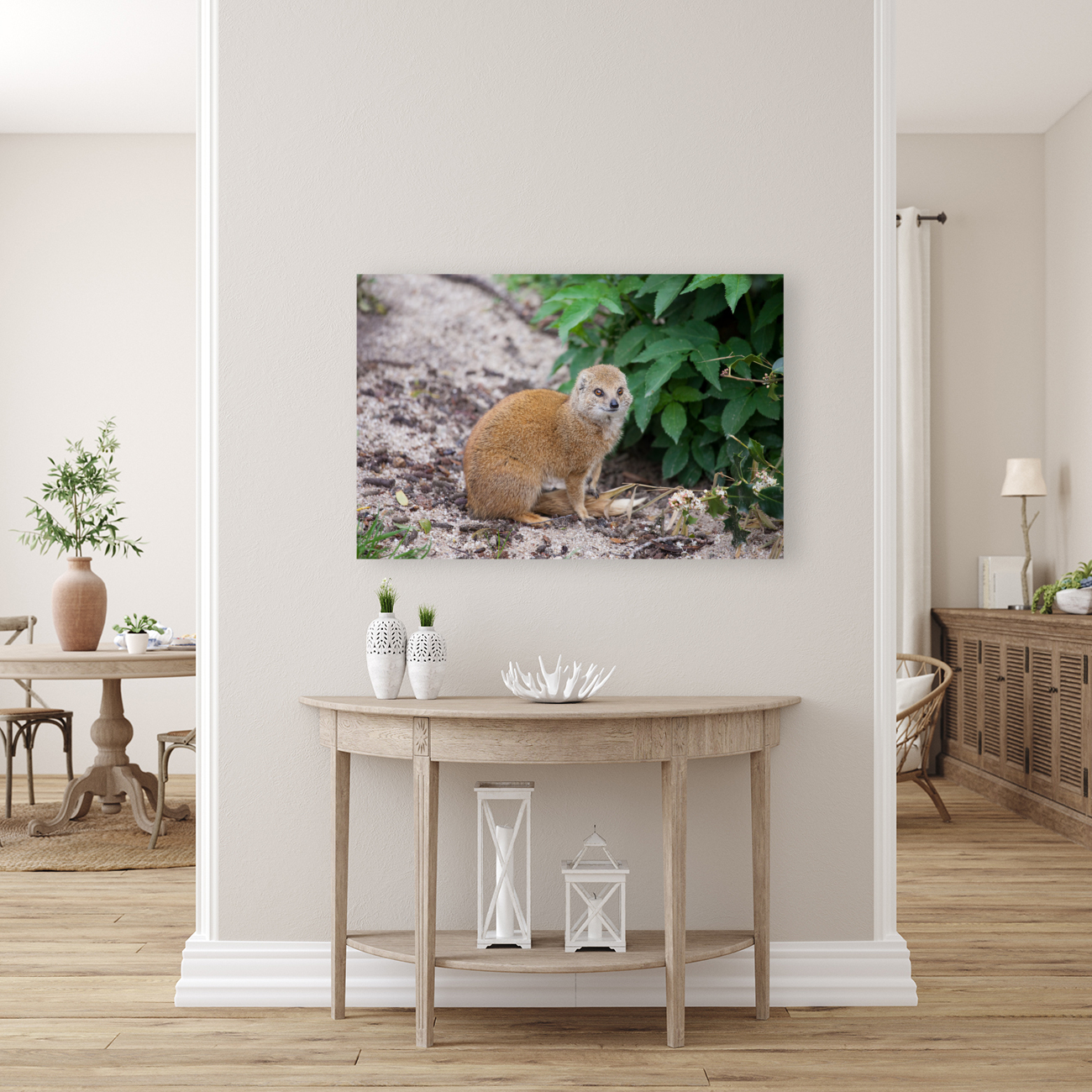 Yellow Mongoose Reproduction