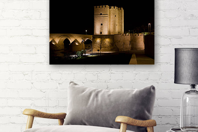 Calahorra Tower At Night In Cordoba by Socratubik