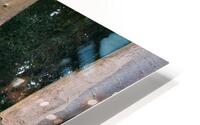 Trees United HD Metal print