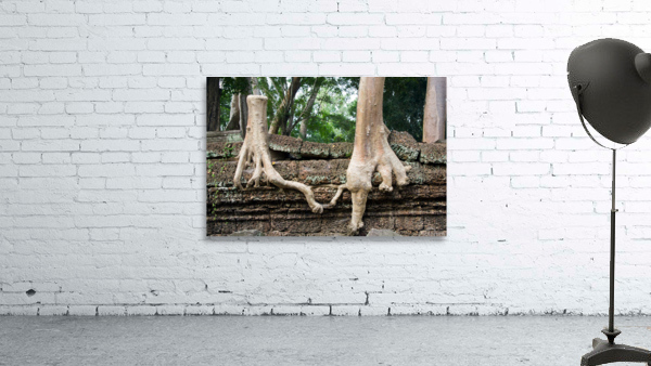 Trees United Wall Preview