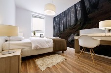Fog Forest Path Mural print