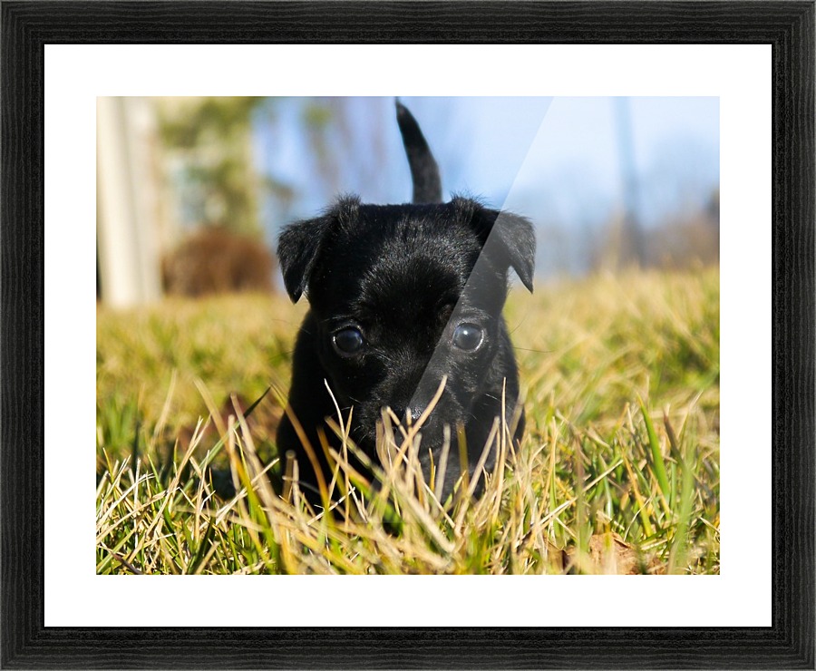 P1240489 Picture Frame print