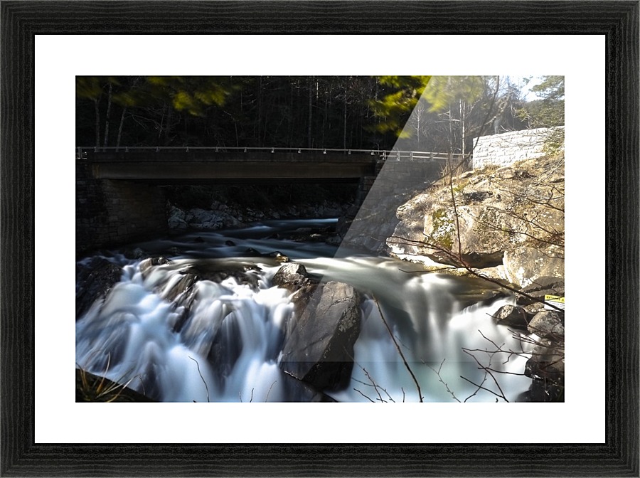 P1240623 Picture Frame print