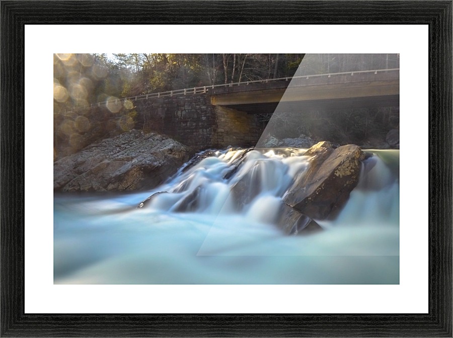 P1240624 Picture Frame print