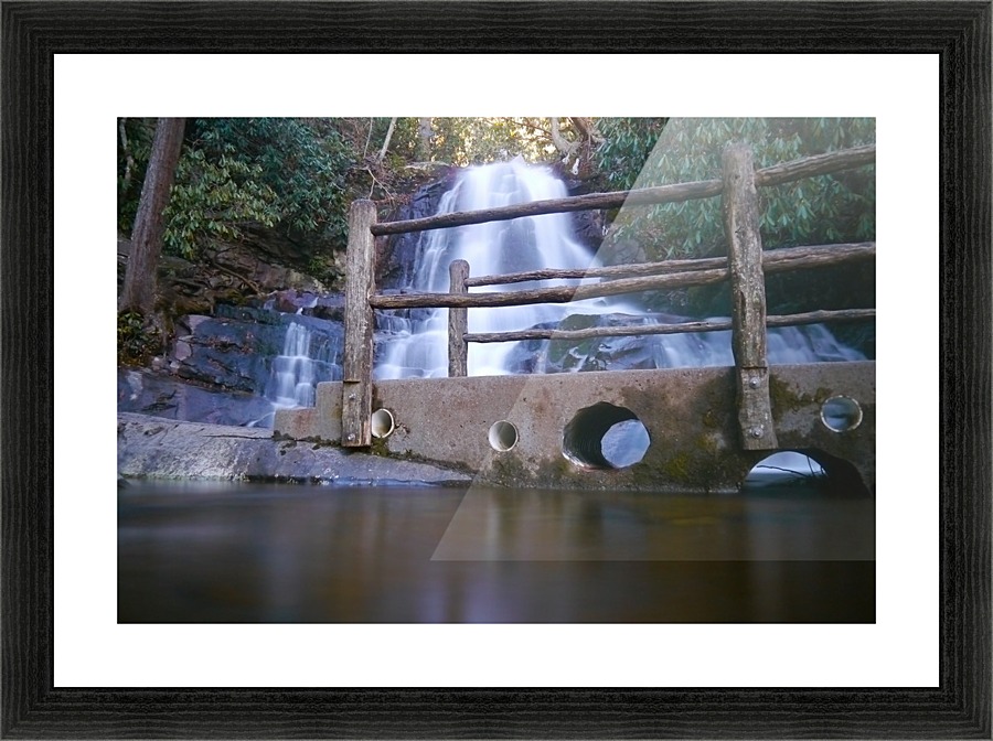 P1240640 Picture Frame print