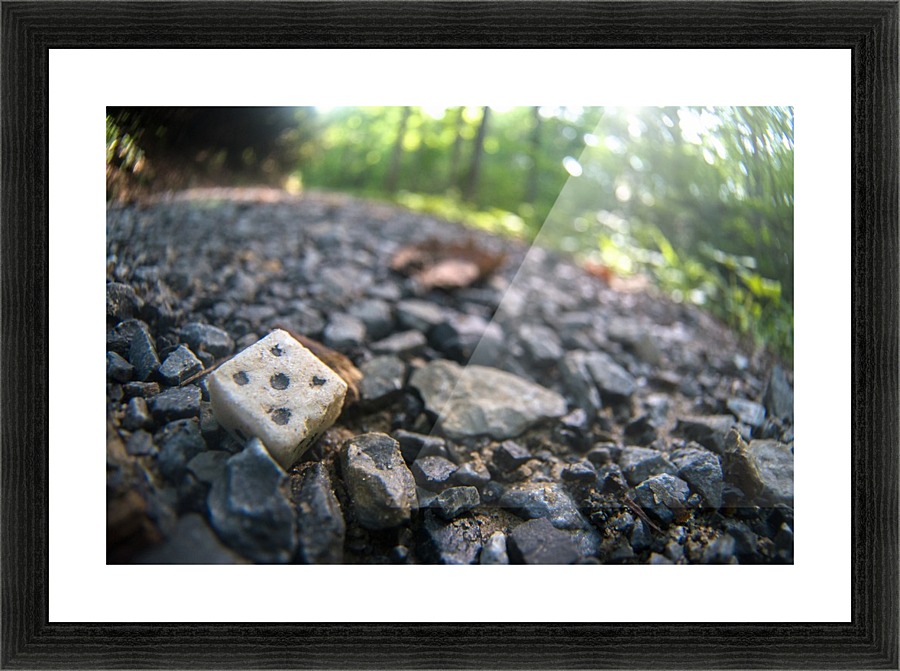 P1450797 Picture Frame print