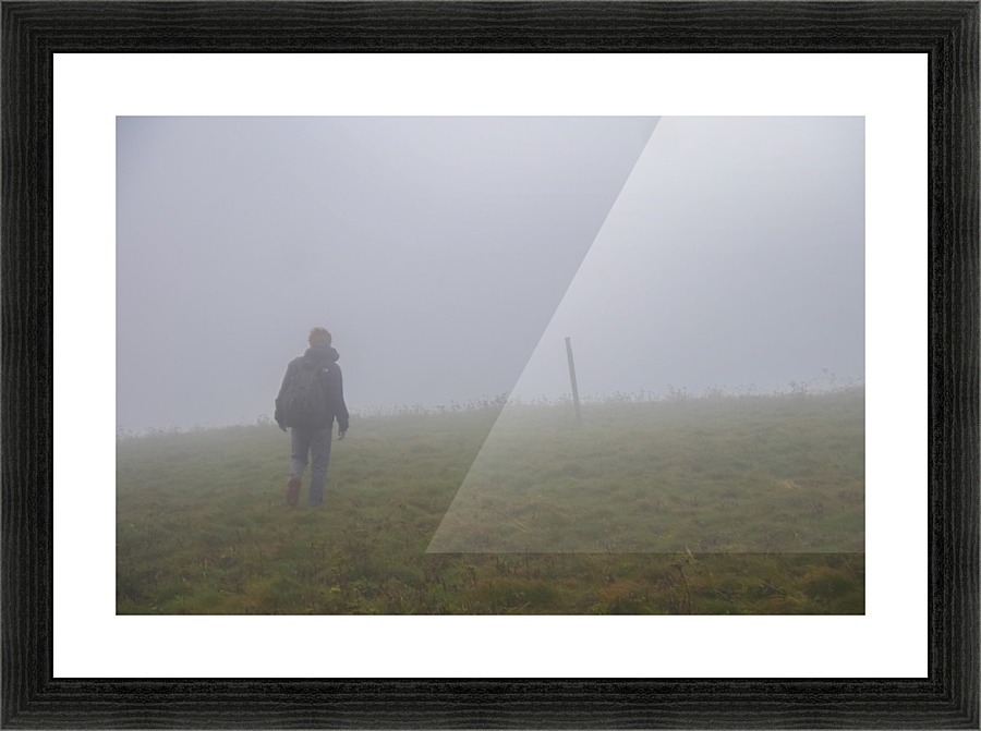 Foggy Path Picture Frame print