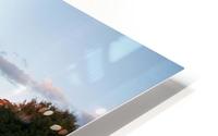 Bridge Panorama1 HD Metal print