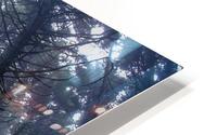 Fog Forest Path HD Metal print
