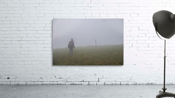 Foggy Path Wall Preview