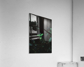 GREEN HIGHLIGHT Acrylic Print