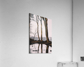 GHOST FOREST Acrylic Print