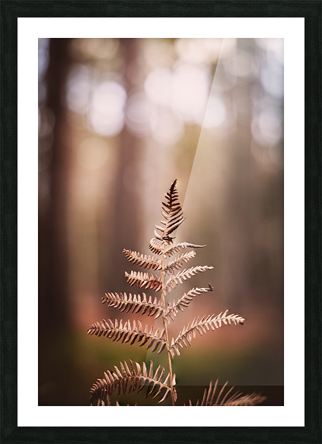 DETAILS Picture Frame print