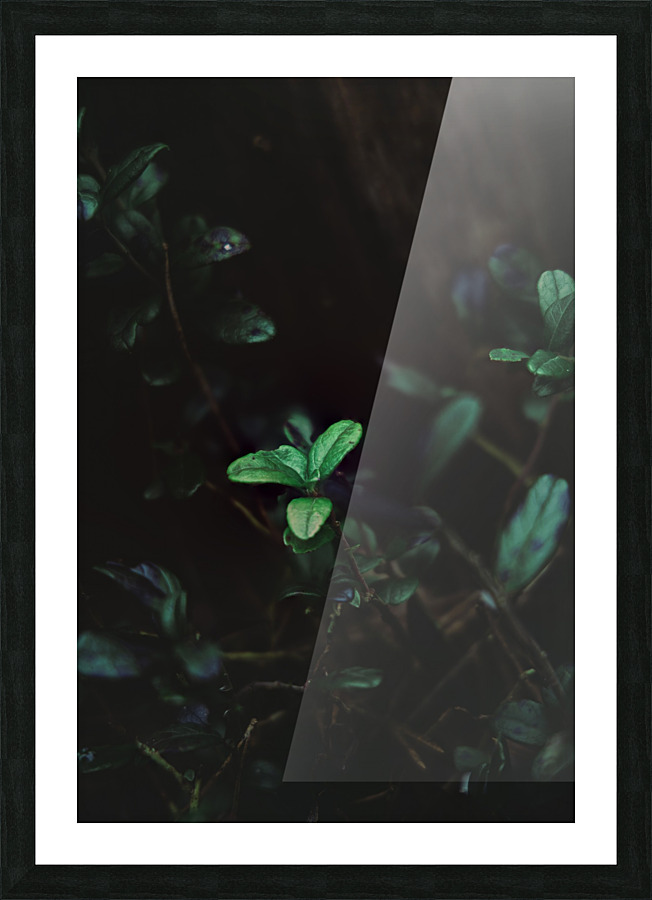 GREEN HIGHLIGHT Picture Frame print