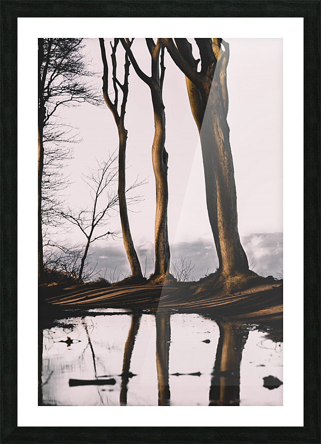GHOST FOREST Picture Frame print