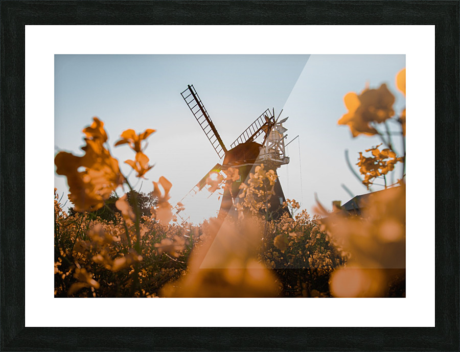 GOLDEN WINDMILL Picture Frame print