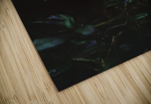 GREEN HIGHLIGHT RAWstock Photography puzzle