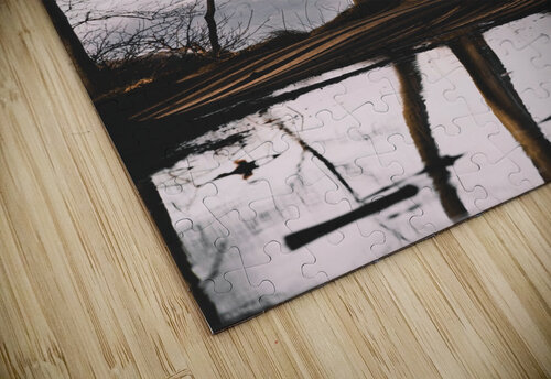 GHOST FOREST RAWstock Photography puzzle