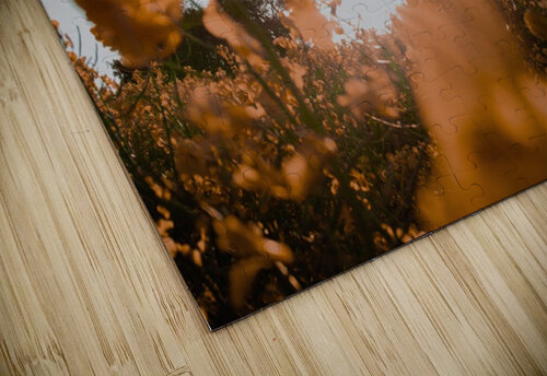 GOLDEN WINDMILL RAWstock Photography puzzle