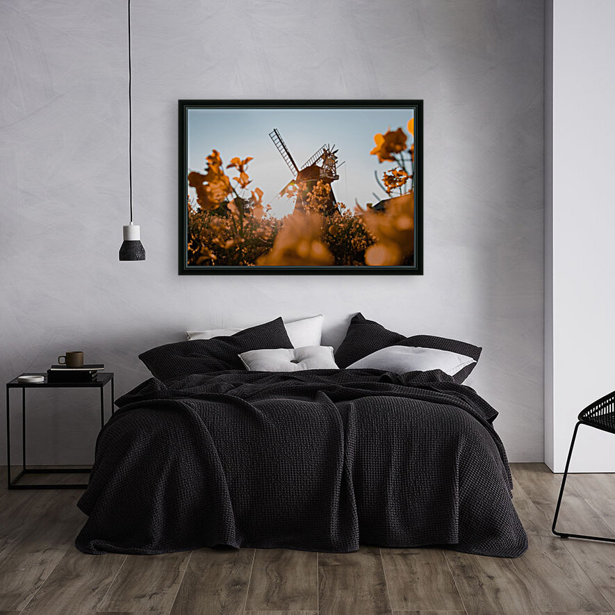GOLDEN WINDMILL Reproduction