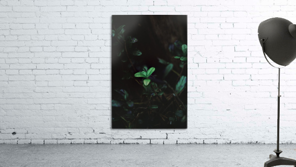 GREEN HIGHLIGHT Wall Preview