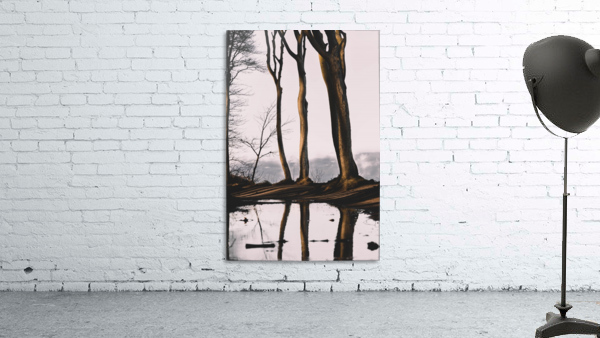 GHOST FOREST Wall Preview