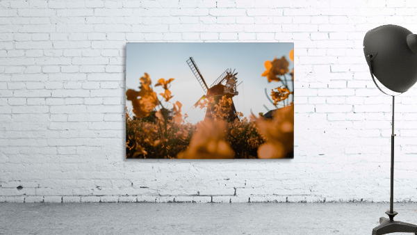 GOLDEN WINDMILL Wall Preview