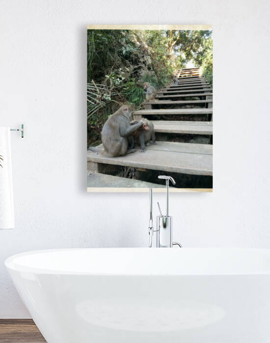 MONKEY by EA