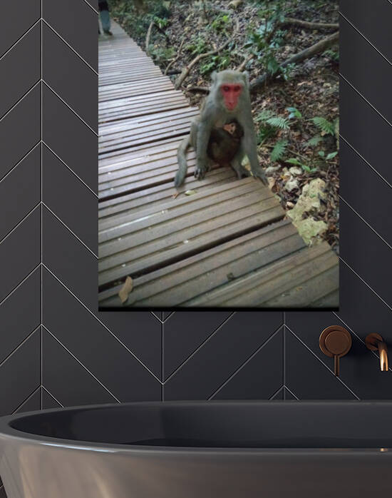 Monkey MOM by EA