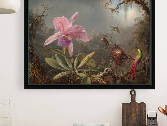 Cattleya Orchid and Three Hummingbirds Martin Johnson Heade 1871 by muralist