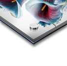 Flower blue-red Acrylic print