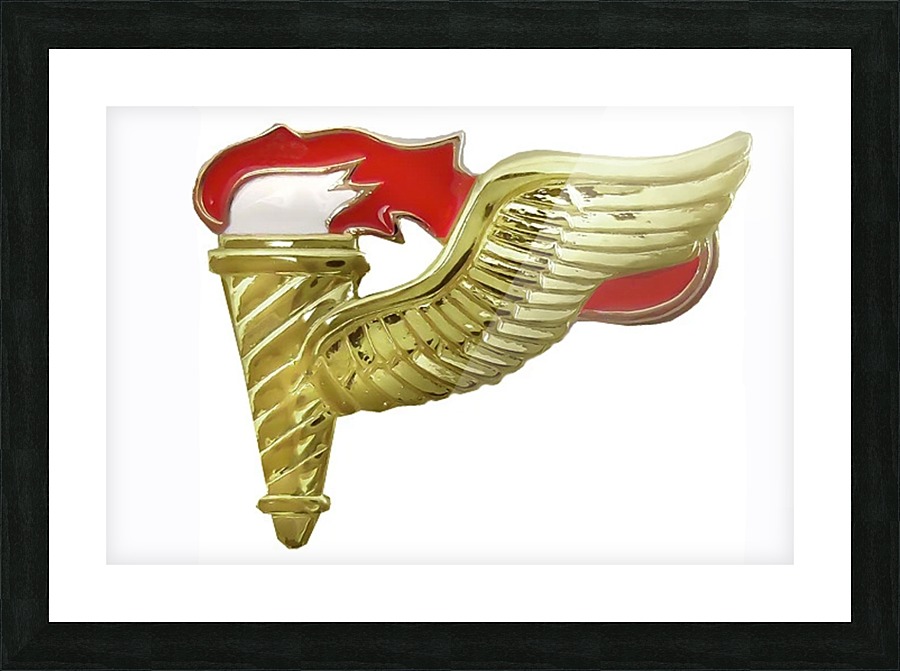 Pathfinder Badge Picture Frame print