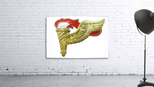 Pathfinder Badge Wall Preview