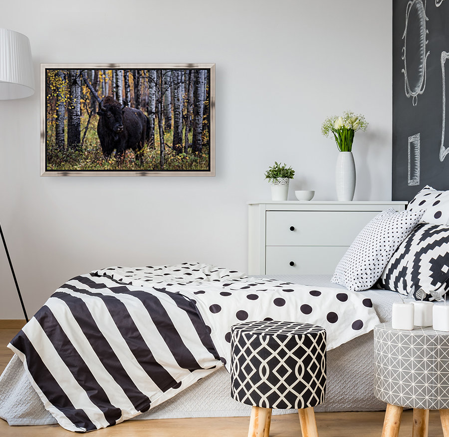 Bison Reproduction
