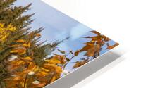 Autumn View HD Metal print