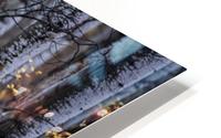 Bison HD Metal print