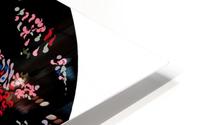 sombrero HD Metal print