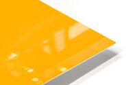 black and yellow HD Metal print