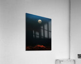 IR Moon 7 Acrylic Print