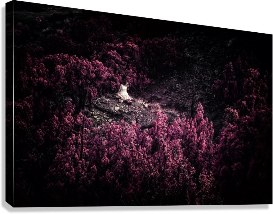 Kiki Infrared Canvas Print