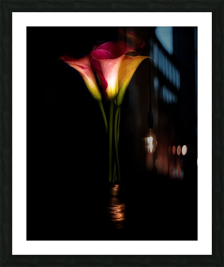 Calla Lilies Picture Frame print